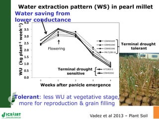 Trait phenotyping: About asking the right questions to harness phenomics' progress 