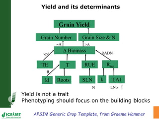 Trait phenotyping: About asking the right questions to harness phenomics' progress 