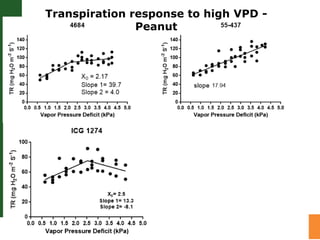 Trait phenotyping: About asking the right questions to harness phenomics' progress 