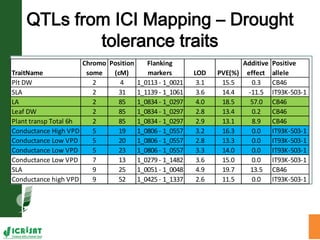 Trait phenotyping: About asking the right questions to harness phenomics' progress 