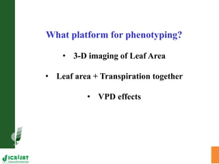 Trait phenotyping: About asking the right questions to harness phenomics' progress 