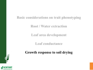 Trait phenotyping: About asking the right questions to harness phenomics' progress 