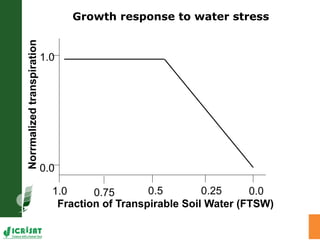 Trait phenotyping: About asking the right questions to harness phenomics' progress 