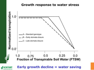 Trait phenotyping: About asking the right questions to harness phenomics' progress 