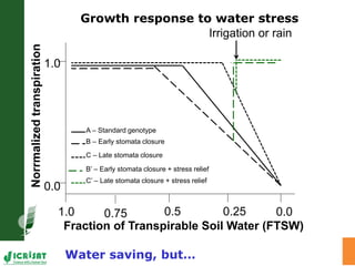 Trait phenotyping: About asking the right questions to harness phenomics' progress 