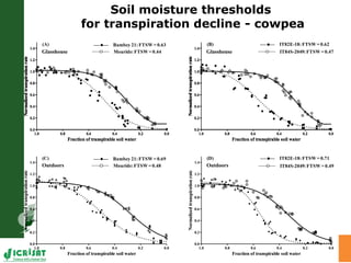Trait phenotyping: About asking the right questions to harness phenomics' progress 