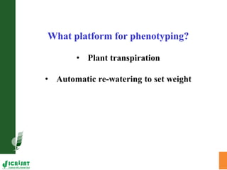 Trait phenotyping: About asking the right questions to harness phenomics' progress 