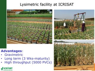 Trait phenotyping: About asking the right questions to harness phenomics' progress 