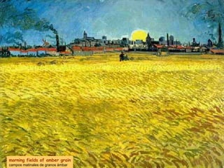 morning fields of amber grain campos matinales de granos ámbar 