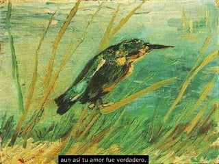 a un  así  tu amor  fue  verdadero. 