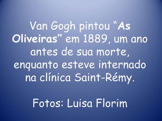 Van Gogh pintou “As
Oliveiras” em 1889, um ano
antes de sua morte,
enquanto esteve internado
na clínica Saint-Rémy.

Fotos: Luisa Florim

 