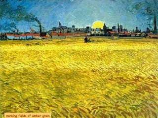 morning fields of amber grain 