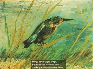 ‫אמיתית‬ ‫הייתה‬ ‫אהבתך‬ ‫.ועדיין‬
But still your love was true.
Ainda que verdadeiro seu amor...
 