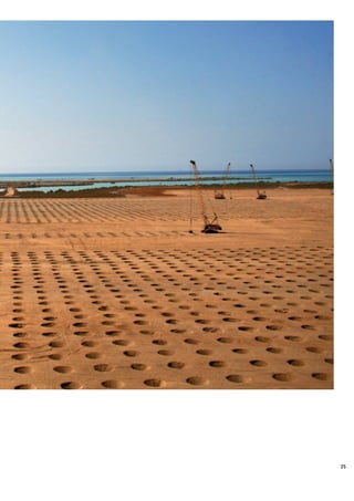 Vinci Rapport Annuel 2008 Fr