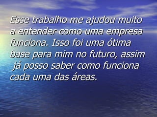 Esse trabalho me ajudou muito a entender como uma empresa funciona. Isso foi uma ótima base para mim no futuro, assim  já posso saber como funciona cada uma das áreas. 