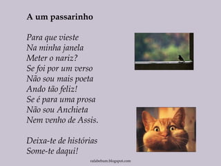 A um passarinho
Para que vieste
Na minha janela
Meter o nariz?
Se foi por um verso
Não sou mais poeta
Ando tão feliz!
Se é para uma prosa
Não sou Anchieta
Nem venho de Assis.
Deixa-te de histórias
Some-te daqui!
rafabebum.blogspot.com
 