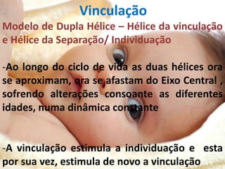 Vinculação 
Modelo de Dupla Hélice – Hélice da vinculação 
e Hélice da Separação/ Individuação 
-Ao longo do ciclo de vida as duas hélices ora 
se aproximam, ora se afastam do Eixo Central , 
sofrendo alterações consoante as diferentes 
idades, numa dinâmica constante 
-A vinculação estimula a individuação e esta 
por sua vez, estimula de novo a vinculação 
 