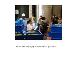 Ana Rita and Avelino, “trying” to organize “chaos”… goodluck!!!