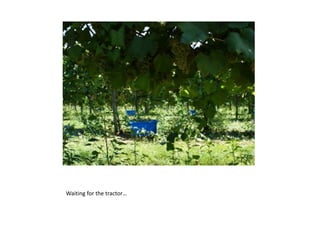 Waiting for the ٰٴǰ…