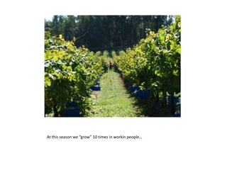 Atthisseasonwe “grow” 10 پԷɴǰ쾱ԱǱ…