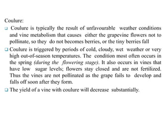 Coulure:
 Coulure is typically the result of unfavourable weather conditions
and vine metabolism that causes either the grapevine flowers not to
pollinate, so they do not becomes berries, or the tiny berries fall
 Coulure is triggered by periods of cold, cloudy, wet weather or very
high out-of-season temperatures. The condition most often occurs in
the spring (during the flowering stage). It also occurs in vines that
have low sugar levels; flowers stay closed and are not fertilized.
Thus the vines are not pollinated as the grape fails to develop and
falls off soon after they form.
 The yield of a vine with coulure will decrease substantially.
 