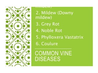 COMMON VINE
DISEASES
1. Oidium (Powdery
mildew)
2. Mildew (Downy
mildew)
3. Grey Rot
4. Noble Rot
5. Phylloxera Vastatrix
6. Coulure
 