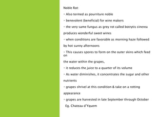 Noble Rot:
Also termed as pourriture noble
benevolent (beneficial) for wine makers
the very same fungus as grey rot called botrytis cinerea
produces wonderful sweet wines
when conditions are favorable as morning haze followed
by hot sunny afternoons
This causes spores to form on the outer skins which feed
on
the water within the grapes,
it reduces the juice to a quarter of its volume
As water diminishes, it concentrates the sugar and other
nutrients
grapes shrivel at this condition & take on a rotting
appearance
grapes are harvested in late September through October
Eg. Chateau d’Yquem
 