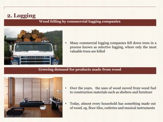 2. Logging 
Wood felling by commercial logging companies 
• Many commercial logging companies fell down trees in a 
process known as selective logging, where only the most 
valuable trees are felled 
Growing demand for products made fromwood 
• Over the years, the uses of wood moved from wood fuel 
to construction materials such as shelters and furniture 
• Today, almost every household has something made out 
of wood, eg. floor tiles, cutleries and musical instruments 
 