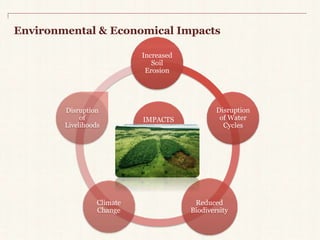Environmental & Economical Impacts 
Increased 
Soil 
Erosion 
IMPACTS 
Disruption 
ofWater 
Cycles 
Reduced 
Biodiversity 
Disruption 
Climate 
Change 
of 
Livelihoods 
 