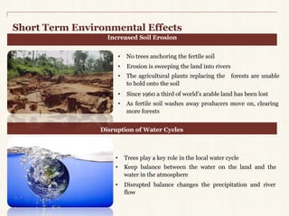 Short TermEnvironmental Effects 
Increased Soil Erosion 
• No trees anchoring the fertile soil 
• Erosion is sweeping the land into rivers 
• The agricultural plants replacing the forests are unable 
to hold onto the soil 
• Since 1960 a third of world’s arable land has been lost 
• As fertile soil washes away producers move on, clearing 
more forests 
Disruption ofWater Cycles 
• Trees play a key role in the local water cycle 
• Keep balance between the water on the land and the 
water in the atmosphere 
• Disrupted balance changes the precipitation and river 
flow 
 