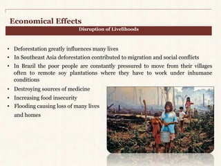 Economical Effects 
• Deforestation greatly influences many lives 
• In Southeast Asia deforestation contributed to migration and social conflicts 
• In Brazil the poor people are constantly pressured to move from their villages 
often to remote soy plantations where they have to work under inhumane 
conditions 
• Destroying sources of medicine 
• Increasing food insecurity 
• Flooding causing loss of many lives 
and homes 
Disruption of Livelihoods 
 
