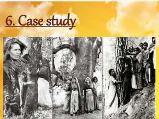6. Case study 
 