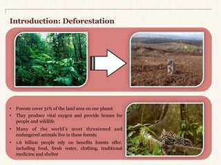Introduction: Deforestation 
• Forests cover 31% of the land area on our planet 
• They produce vital oxygen and provide homes for 
people and wildlife 
• Many of the world’s most threatened and 
endangered animals live in these forests 
• 1.6 billion people rely on benefits forests offer, 
including food, fresh water, clothing, traditional 
medicine and shelter 
 