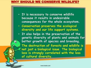 WHY SHOULD WE CONSERVE WILDLIFE? 
• It is necessary to conserve wildlife 
because it results in undesirable 
consequences for the whole ecosystem. 
• Conservation preserves the ecological 
diversity and our life support systems. 
• It also helps in the preservation of the 
genetic diversity of plants and animals for 
better growth of species and breeding. 
• The destruction of forests and wildlife is 
not just a biological issue. The biological 
loss is strongly correlated with the loss 
of cultural diversity. 
 