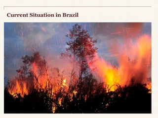 Current Situation in Brazil 
h" p ://www.youtube.com/watch?v=rNx51WqBBgM 
 