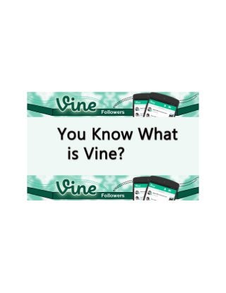 How to Buy Real Vine Followers?