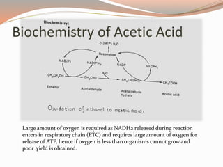 Large amount of oxygen is required as NADH2 released during reaction
enters in respiratory chain (ETC) and requires large amount of oxygen for
release of ATP, hence if oxygen is less than organisms cannot grow and
poor yield is obtained.
Biochemistry of Acetic Acid
 