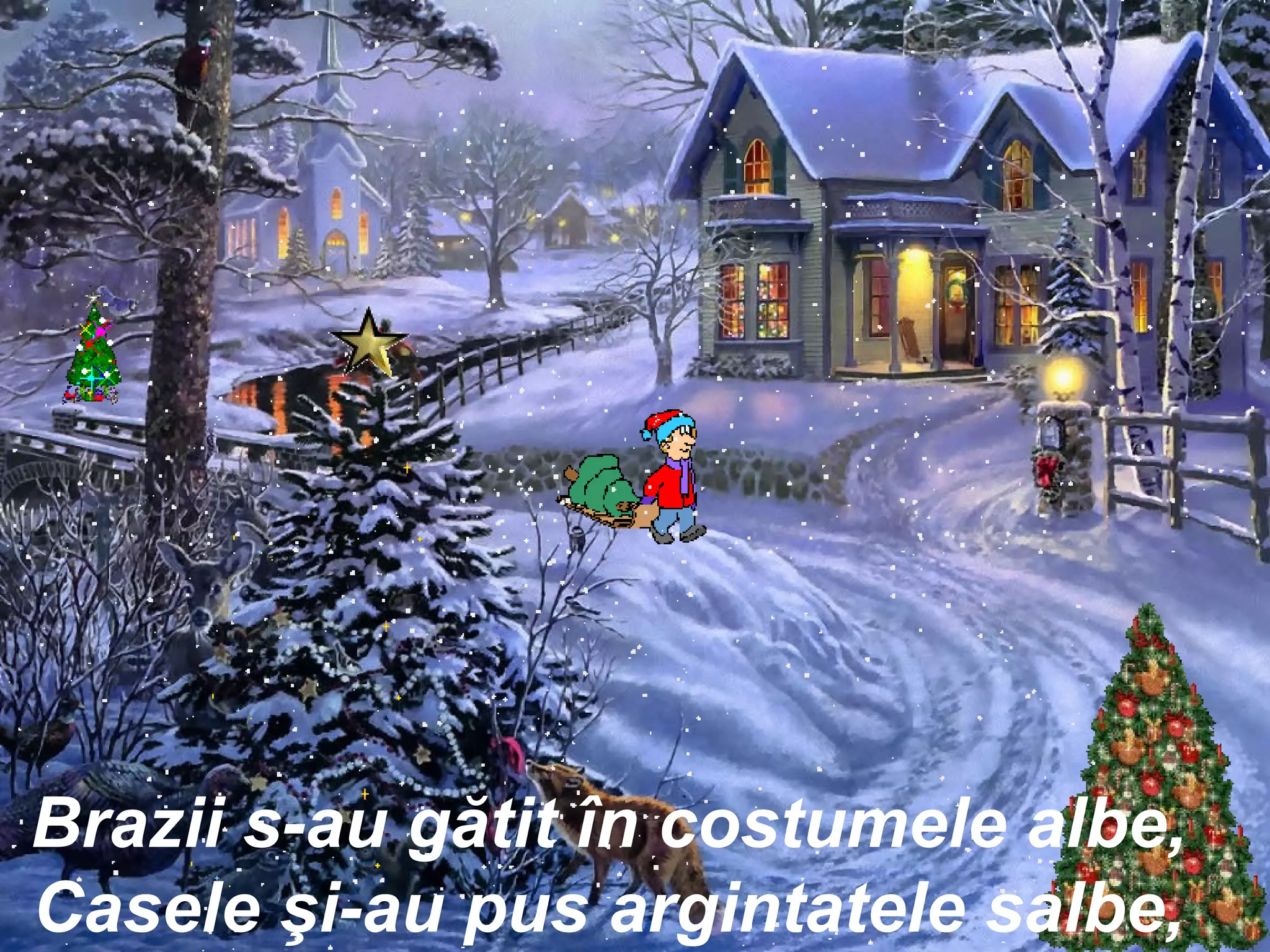 Brazii s-au gătit în costumele albe, Casele şi-au pus argintatele salbe, 