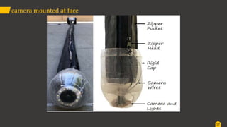 Vine robots by thrinath reddy | PPTX | Robotics | Technology & Computing