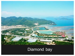 Diamond bay
 