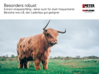 Besonders robust
Extrem strapazierfähig - daher auch für stark frequentierte
Bereiche wie z.B. den Ladenbau gut geeignet
VINFLOORS
Helden des Alltags
 