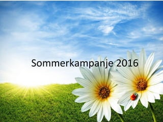 Sommerkampanje 2016
 