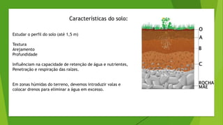 Características do solo:
Estudar o perfil do solo (até 1,5 m)
Textura
Arejamento
Profundidade
Influênciam na capacidade de retenção de água e nutrientes,
Penetração e respiração das raízes.
Em zonas húmidas do terreno, devemos introduzir valas e
colocar drenos para eliminar a água em excesso.
 
