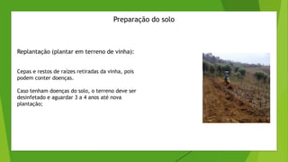 Preparação do solo
Replantação (plantar em terreno de vinha):
Cepas e restos de raízes retiradas da vinha, pois
podem conter doenças.
Caso tenham doenças do solo, o terreno deve ser
desinfetado e aguardar 3 a 4 anos até nova
plantação;
 