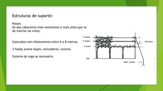 Estruturas de suporte:
Postes
Os das cabeceiras mais resistentes e mais altos que os
do interior da vinha;
Colocados com afastamento entre 6 a 8 metros;
3 fiadas arame duplo, esticadores, tutores.
Sistema de rega se necessário
 