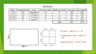 Bardo Comprimento (m) Casta Postes por bardo Plantas por bardo ∑ de postes ∑ de plantas
1 a 20 110 Trincadeira 18 71 380 1420
21 a 37 110 T. Franca 18 71 323 1207
38 a 42 50 T. Franca 9 32 45 160
43 a 73 50 Aragonez 9 32 279 992
Total 1027 3779
Medições
100 m
50
m
Nº linhas = (50/2,7) +1 = 19
Nº plantas por linha = (100/1) +1
= 101
Total de plantas = 19*101= 1919
 
