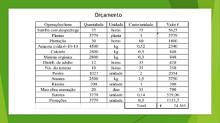 Operações/itens Quantidade Unidade Custo/unidade Valor €
Surriba com despedrega 75 horas 75 5625
Plantas 3779 planta 1 3779
Plantação 30 horas 60 1800
Amicote cvida 6-10-10 4500 kg 0,52 2340
Calcario 2800 kg 0,3 840
Matéria orgânica 2800 kg 0,3 840
Distrib. de adubo 12 horas 35 420
Niv. do terreno 10 horas 35 350
Postes 1027 unidade 2 2054
Arames 2500 kg 1,5 3750
Riostas 200 unidade 1 200
Mao obra aramação 20 dias 35 700
Tutores 3779 unidade 0,14 529,06
Proteções 3779 unidade 0,3 1133,7
Total 24 361
€
Orçamento
 