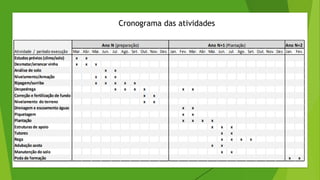 Cronograma das atividades
 
