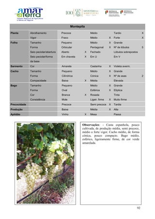 92
Montepila
Planta Abrolhamento Precoce Médio Tardio X
Vigor Fraco Médio X Forte X
Folha Tamanho Pequeno Médio X Grande
Forma Orbicular Pentagonal X Nº de lóbulos 5
Seio peciolar/abertura Aberto X Fechado Lóbulos sobrepostos
Seio peciolar/forma
da base
Em chaveta X Em U Em V
Sarmento Cor Amarela Castanha X Violeta averm.
Cacho Tamanho Pequeno Médio X Grande
Forma Cilíndrica Cónica X Nº de asas 2
Compacidade Baixa X Média Elevada
Bago Tamanho Pequeno Médio X Grande
Forma Oval Esférica X Elíptica
Cor Branca X Rosada Tinta
Consistência Mole Ligeir. firme X Muito firme
Precocidade Precoce Semi precoce X Tardia
Produção Baixa Média X Alta
Aptidão Vinho X Mesa Passa
Observações: - Casta espanhola, pouco
cultivada, de produção média, semi precoce,
médio a forte vigor. Cacho médio, de forma
cónica, pouco compacto. Bago médio,
esférico, ligeiramente firme, de cor verde
amarelada.
 