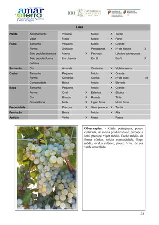 93
Leira
Planta Abrolhamento Precoce Médio X Tardio
Vigor Fraco Médio X Forte
Folha Tamanho Pequeno Médio X Grande
Forma Orbicular Pentagonal X Nº de lóbulos 3
Seio peciolar/abertura Aberto X Fechado Lóbulos sobrepostos
Seio peciolar/forma
da base
Em chaveta Em U Em V X
Sarmento Cor Amarela Castanha X Violeta averm.
Cacho Tamanho Pequeno Médio X Grande
Forma Cilíndrica Cónica X Nº de asas 1/2
Compacidade Baixa Média X Elevada
Bago Tamanho Pequeno Médio X Grande
Forma Oval X Esférica X Elíptica
Cor Branca X Rosada Tinta
Consistência Mole X Ligeir. firme Muito firme
Precocidade Precoce X Semi precoce X Tardia
Produção Baixa Média X Alta
Aptidão Vinho X Mesa Passa
Observações: - Casta portuguesa, pouco
cultivada, de média produtividade, precoce a
semi precoce, vigor médio. Cacho médio, de
forma cónica, média compacidade. Bago
médio, oval a esférico, pouco firme, de cor
verde amarelada.
 